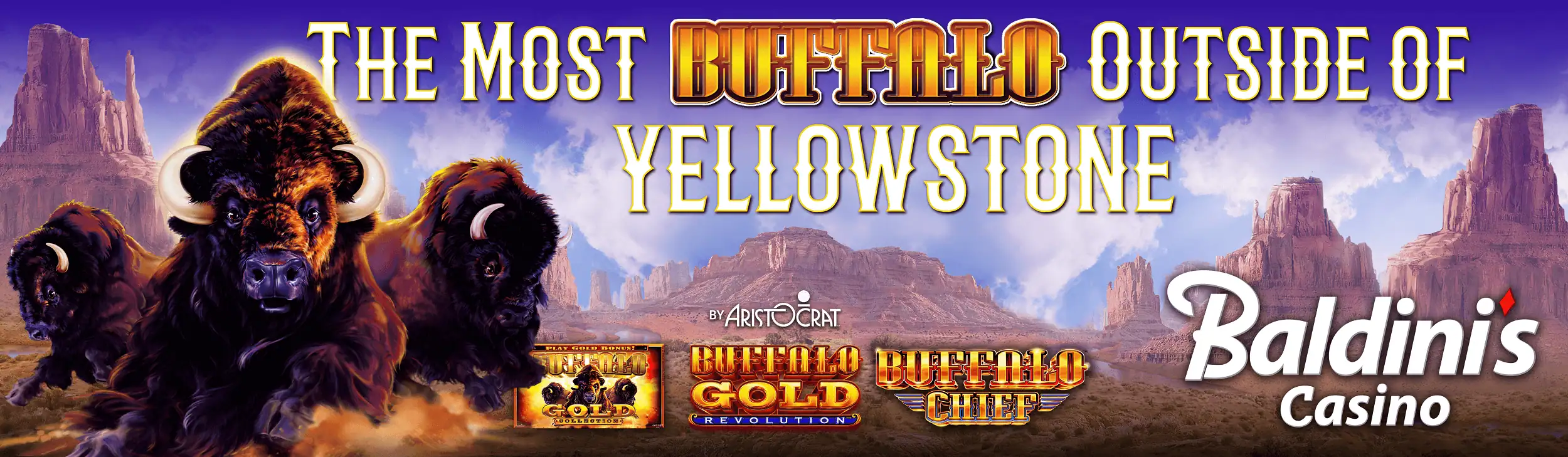 Baldinis More Buffalo than Yellowstone Board 2go 1