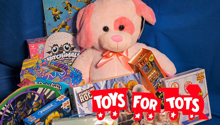 Badlinis Toys for Tots 1